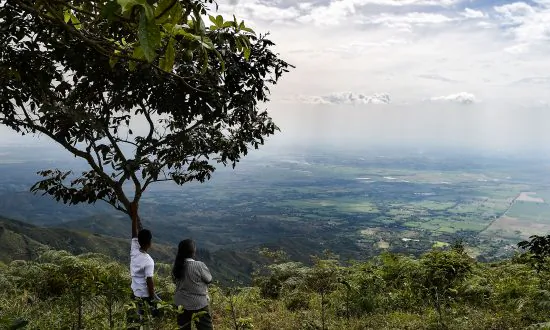 Activists Raise Concerns About Killing of Community Leaders in Colombia