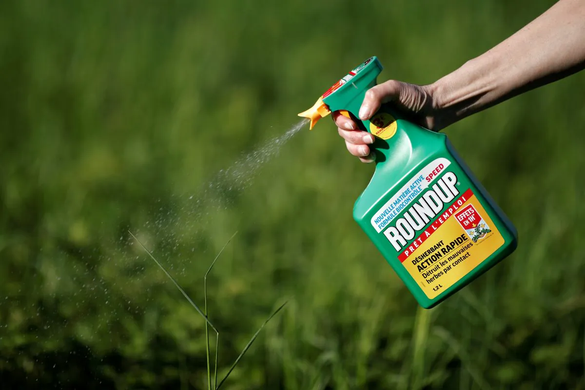 A gardener uses a Monsanto's Roundup weedkiller spray without glyphosate in a garden in Ercuis near Paris, France, on May 6, 2018. (Benoit Tessier/Reuters)