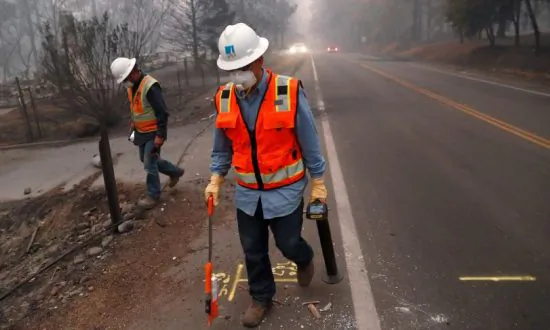 Firefighter Rescues Cat From California Wildfire; Now She Won’t Leave Him Alone