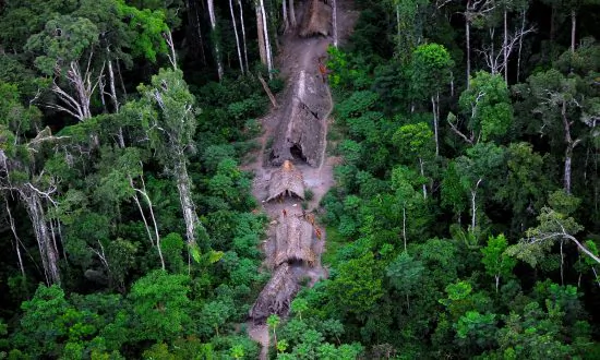 Isolated Tribes Under Threat by Illegal Logging in Brazil