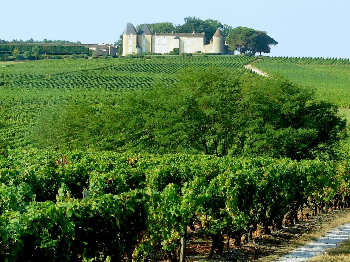 Chateau d'Yquem, near Cadillac, one of the many chateaux we passed. (John M. Smith)
