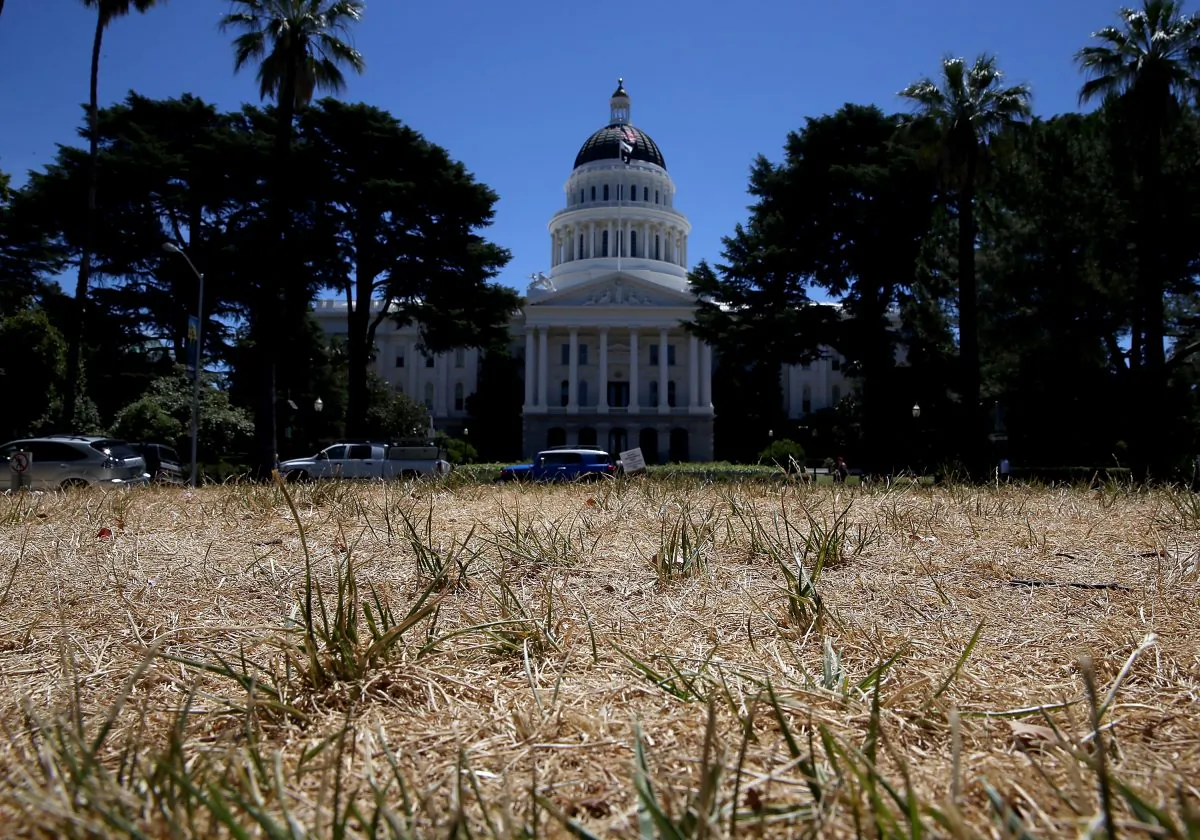 The lawn in front of the California State Capitol is seen dead in Sacramento, California on June 18, 2014 due to an ongoing drought. (Justin Sullivan/Getty Images)