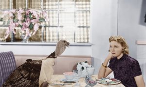 How to Be the Best Guest at Thanksgiving Dinner