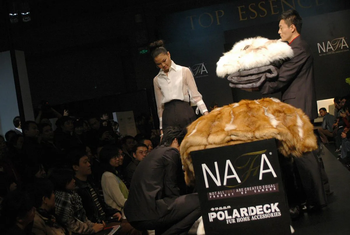 Well-to-do Chinese customers gather for a special presentation of luxurious fur accessories for home decors in Beijing on Nov. 23, 2008. (Gou Yige/AFP/Getty Images)