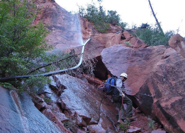 Epoch Times Photo