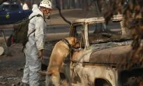 Rains Could Help California Firefight but Complicate Search for Remains