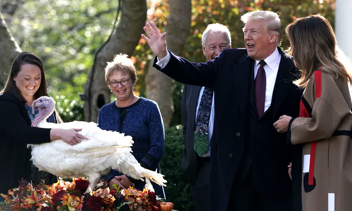 Trump Offers Pardon to Turkey Named ‘Peas’