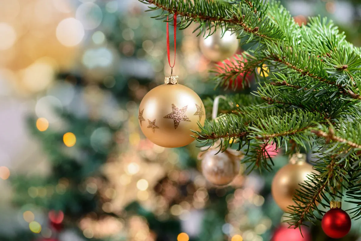Local authorities in the German town of Roth temporarily called off an annual event where children hang hand written notes with their wish lists from a Christmas tree in the town’s center due to European privacy laws. (ER_09/Shutterstock)