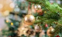 European Privacy Law Blamed for Cancelation of Christmas Tradition in German Town