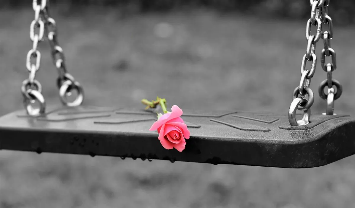 File photo showing a rose on a swing. (GoranH/Pixabay)