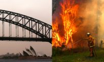 Strong Winds Cause Travel Chaos and Fan Major Bushfires in Australia