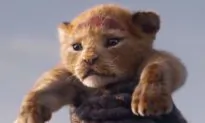 First Trailer Just Released for New Lion King Movie