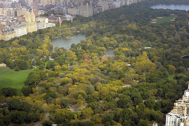 View of Central Park.