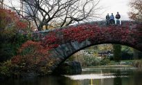 Hikers Avoid Black Friday Lines in Central Park