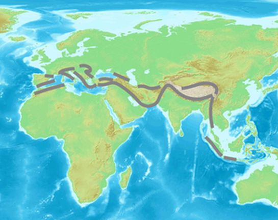 alpide belt public domain