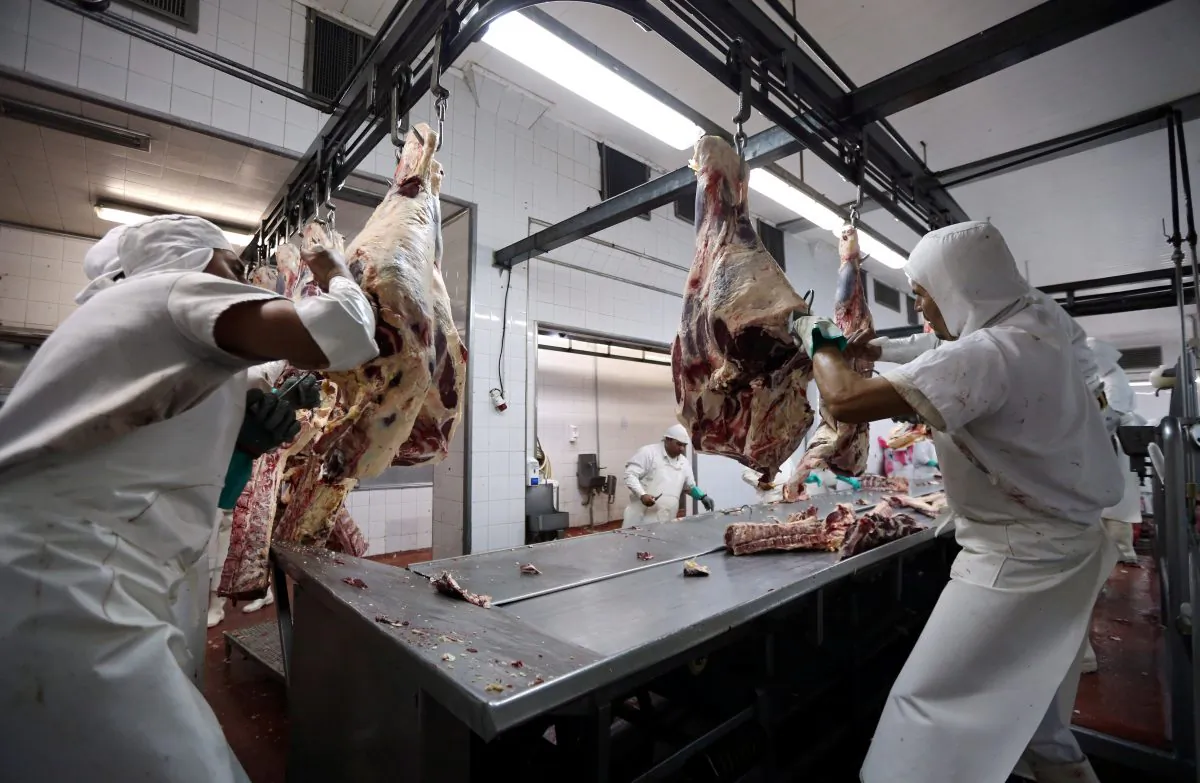 Workers handle beef carcasses at the Ecocarne Meat Plant slaughterhouse in San Fernando, Argentina, on June 26, 2017. (Marcos Brindicci/Reuters)