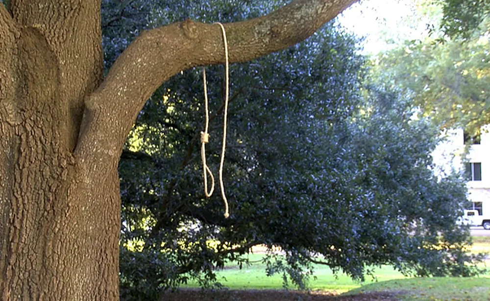 A noose hangs on a tree on the state Capitol grounds in Jackson, Miss., on Monday, Nov. 26, 2018. A Mississippi official said nooses and signs were found on the grounds of the Mississippi state Capitol. (WLBT-TV via AP)