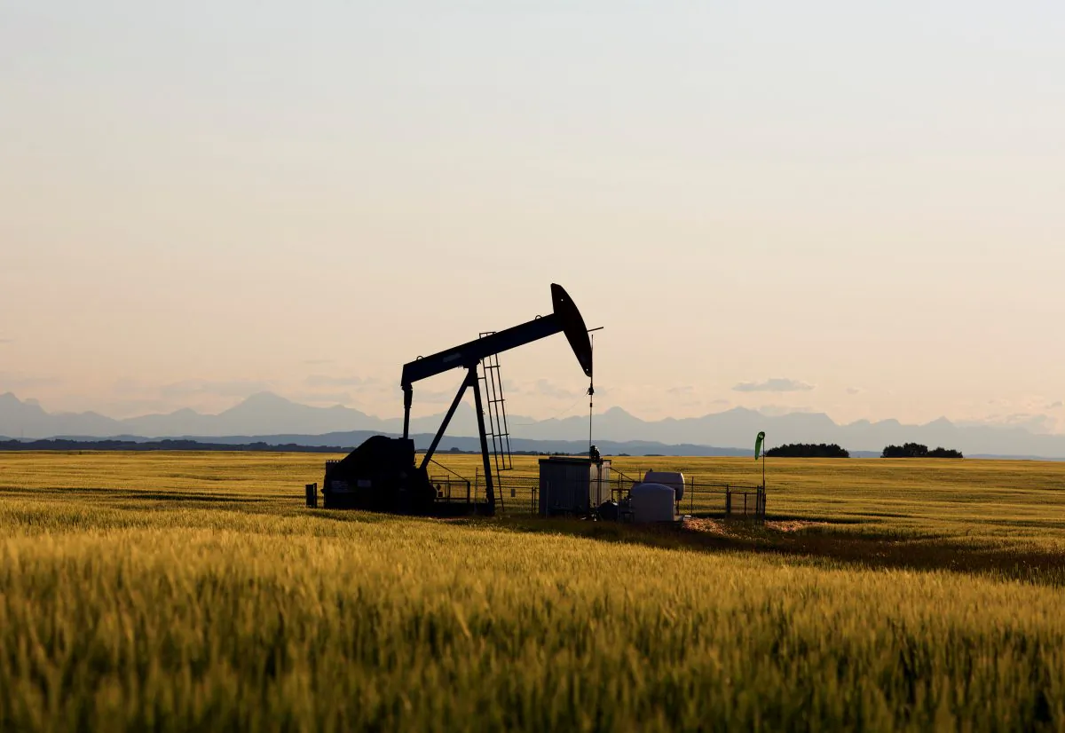 A jack pumps in a field near Calgary in a file photo. (Todd Korol/File Photo/Reuters)