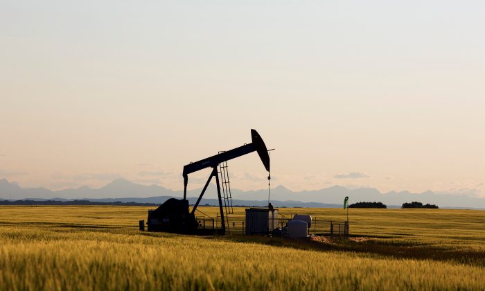 A jack pumps in a field near Calgary in a file photo. (Todd Korol/File Photo/Reuters)