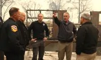 Farm Bill Negotiations Stall on Forest Management, Food Stamps