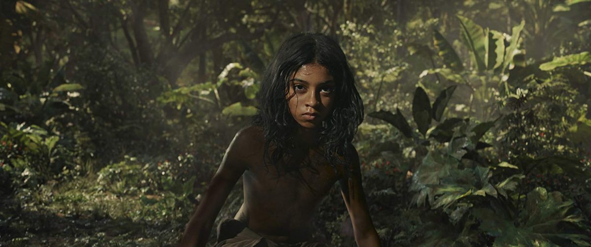 Mowgli in the woods