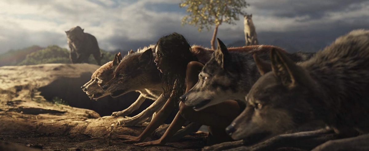 Mancub running with wolfcubs