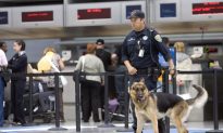 The TSA Is Using Detector Dogs More, Which Is Actually a Good Idea