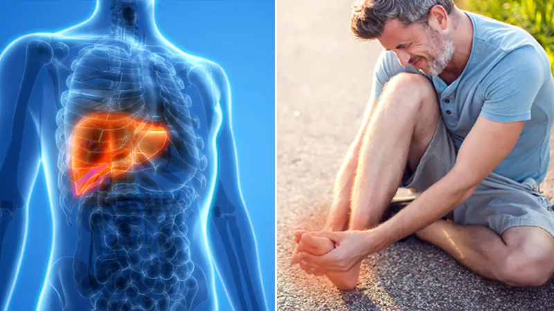Image showing liver pain on the left and man on the ground with foot pain on the right. (Illustration - Shutterstock)