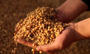 China Is Hoarding Commodities