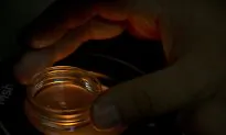 China in Focus (Dec. 14): Chinese Gene Editing Controversy Re-emerges