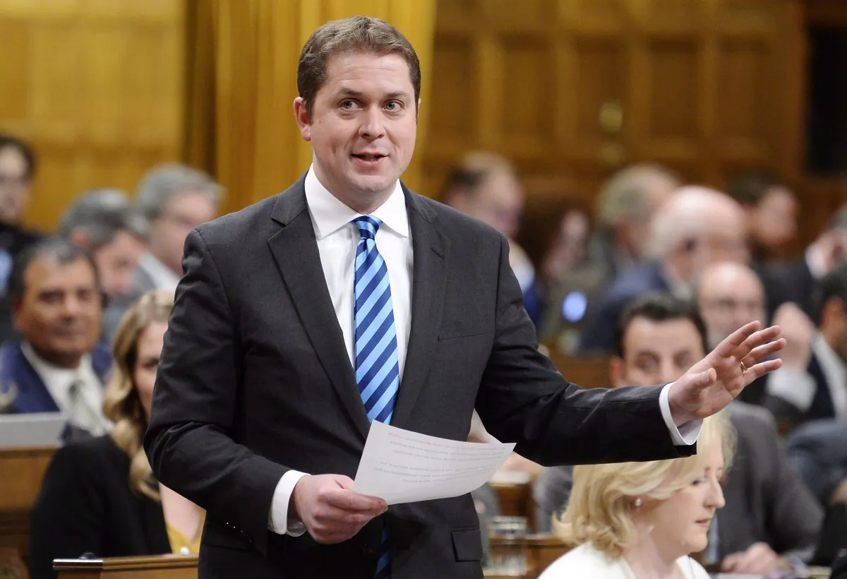 Conservative Party leader Andrew Scheer. (Adrian Wyld/The Canadian Press)
