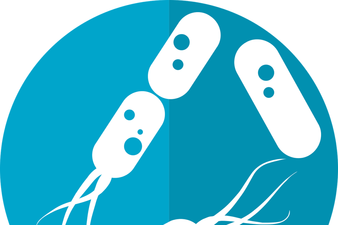 Antibiotics leave the body's essential microbiome compromised, with some microbes unable to be resurrected, a new study suggests. (mcmurryjulie/Pexels)