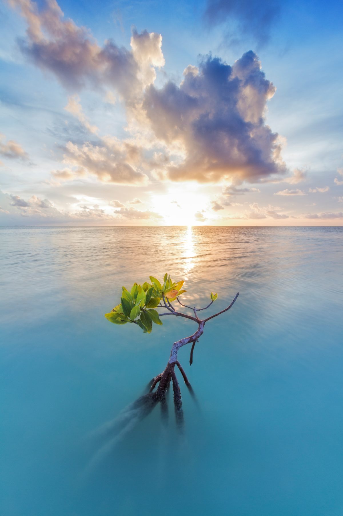 Sunset on Florida Bay in Everglades National Park.