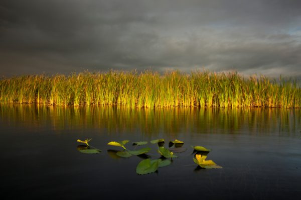 Epoch Times Photo
