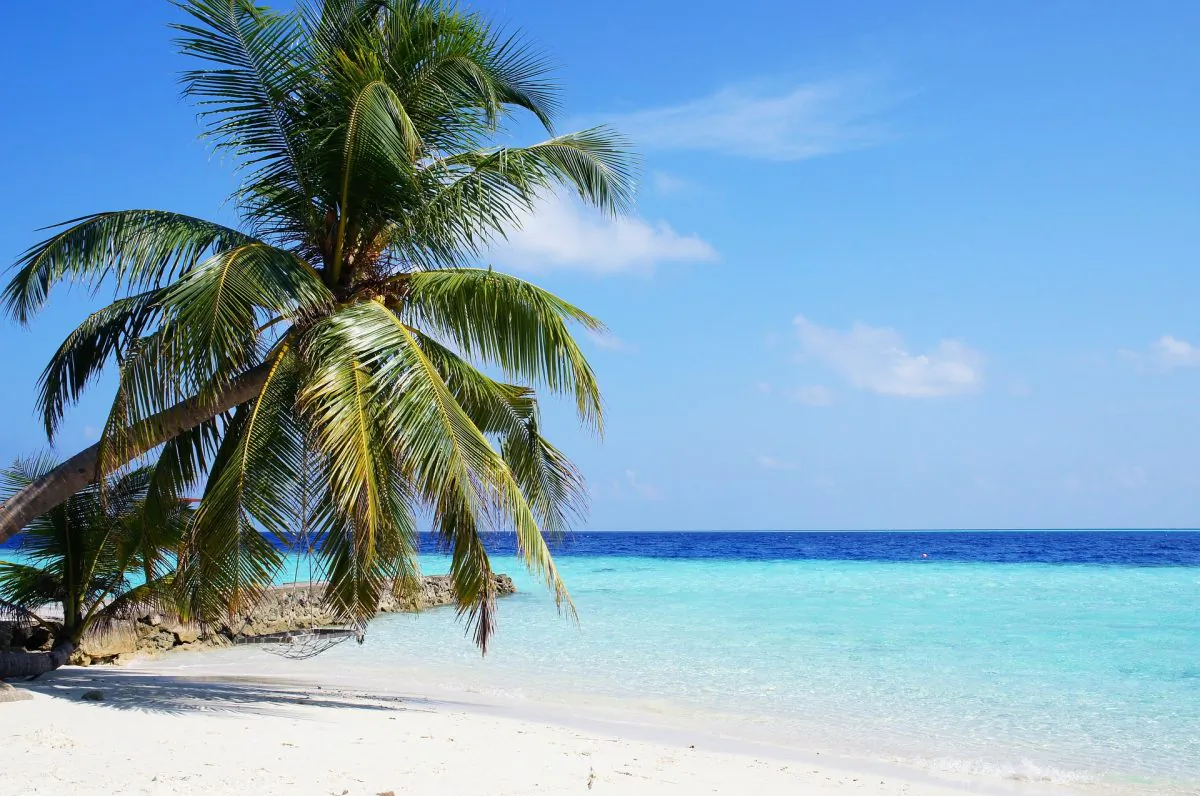 A beach in the Maldives, one of the locations on the itinerary for a $100,000 photography job embedded with a family on their travels. (Pixabay) 