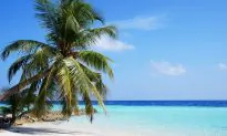 Mystery Family Seeks Photographer to Travel the World for $100,000 Salary