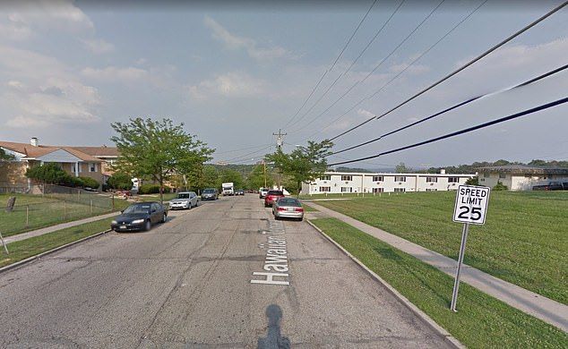 grease tossing in cincy - beware of dogs