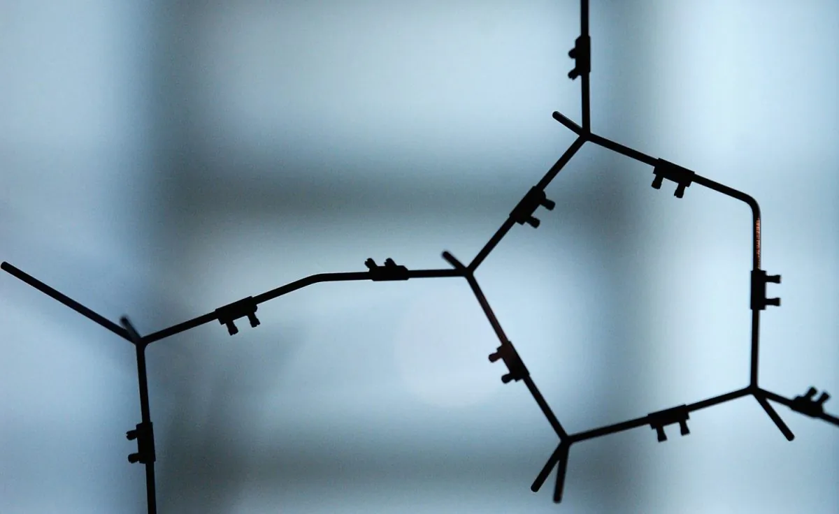 Deoxyribonucleic acid (DNA) strands from a double helix model on display at the Science Museum April 23, 2003 in London. (Photo by Paul Gilham/Getty Images)