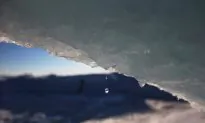 The Truth About Sea Levels and Fossil Fuels