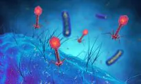 Opening Pandora’s Box: Gene Editing and Its Consequences