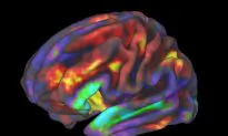 Kids Who Stare at a Screen for More Than 7 Hours a Day Have Different Brain Structure: Study
