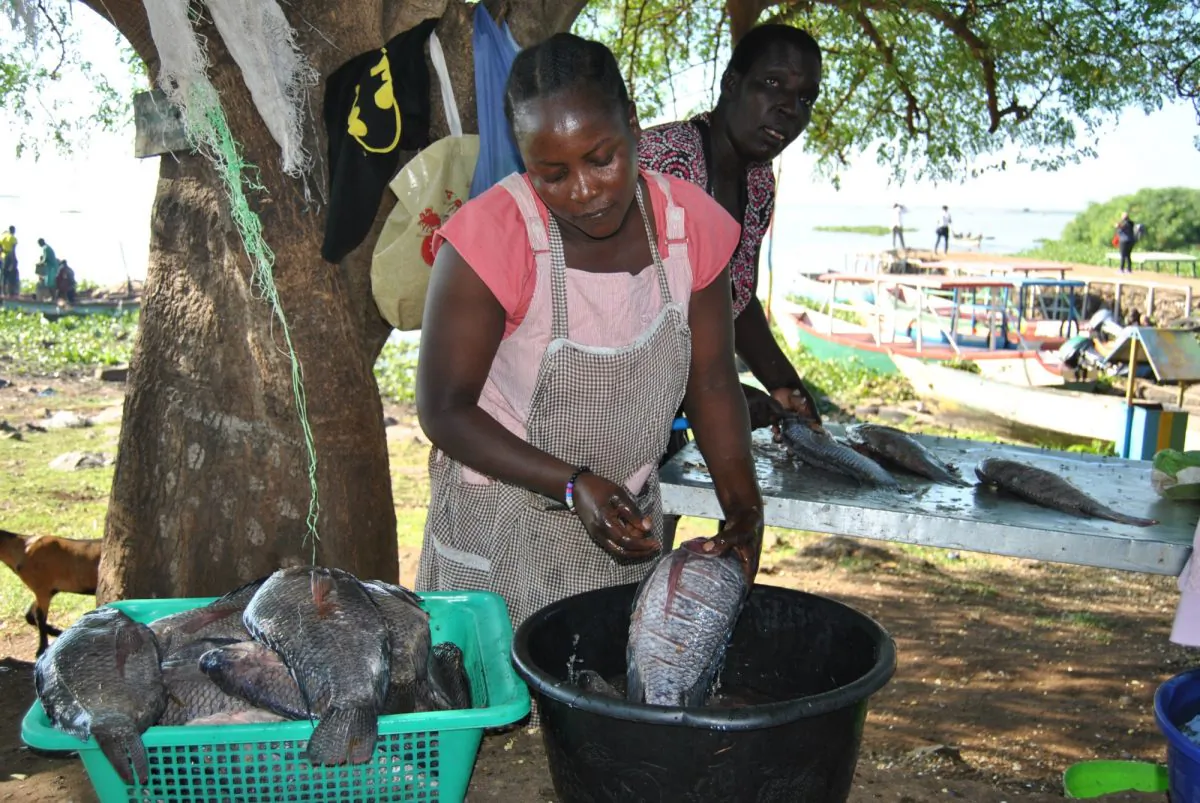 Francisca Odhiambo, a fish monger at Dunga Beach on the shores of Lake Victoria, Kenya, prepares fish for sale on Dec. 7, 2018. (Dominic Kirui/Special to The Epoch Times)