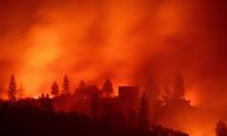 California Takes Steps to Strengthen Wildfire Prevention and Control