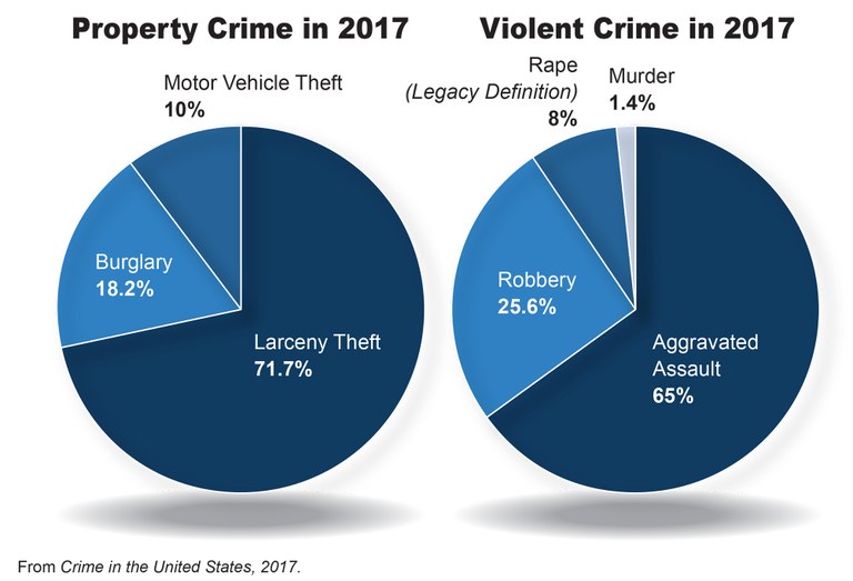 crime in united states
