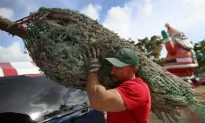 Pennsylvania Residents Fill Widening Pothole With Christmas Tree