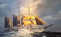 Mysterious Shipwreck Appears on Lake Michigan Shoreline