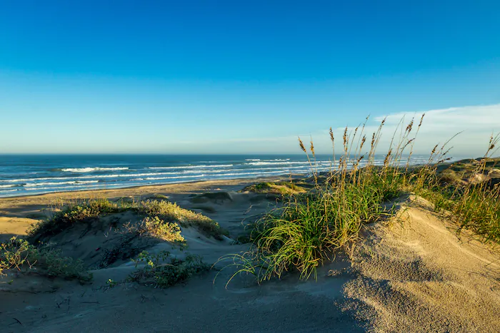 Sand Dunes. (Courtesy of South Padre Island Convention & Visitors Bureau)