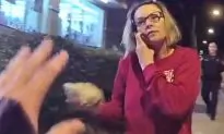 Florida Woman Throws Concrete Rock at Officer After Calling 911, Video Shows