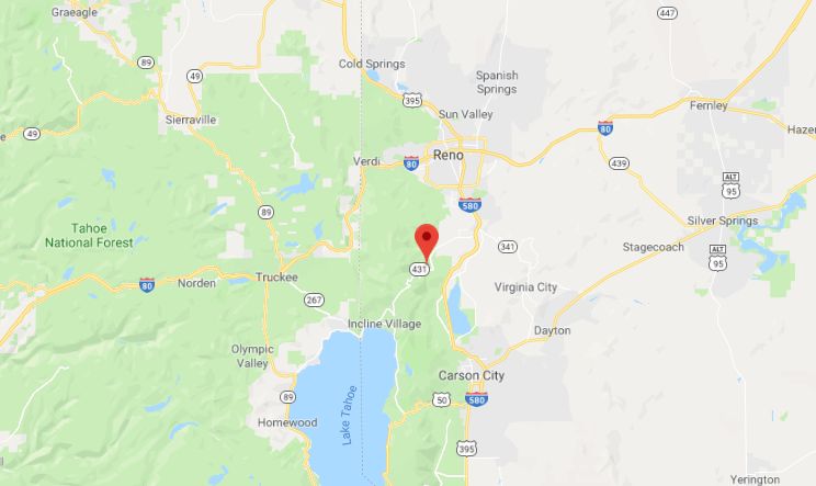 woman dead near xmas tree farm