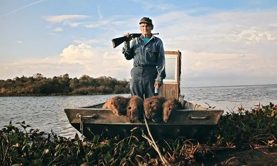 Film Review: ‘Rodents of Unusual Size’